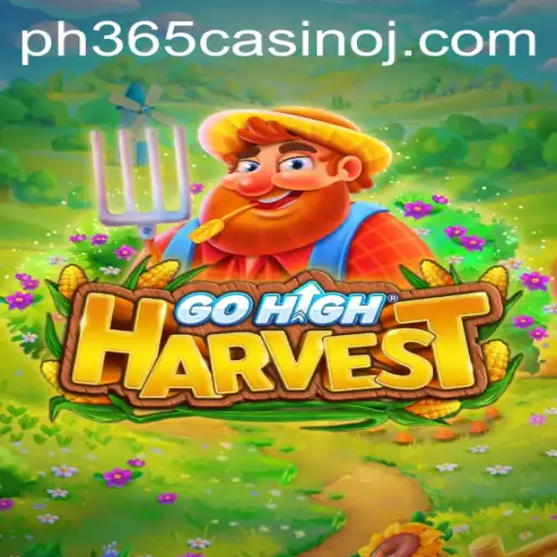Exploring the Exciting World of GoHighHarvest: A New Era in Gaming and Casinos